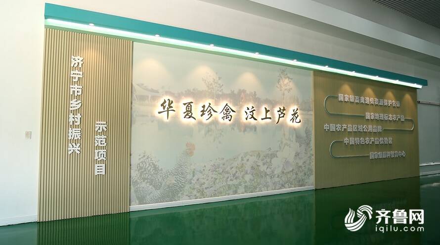 【齊魯網】濟寧2022上半年重點項目巡禮:汶上蘆花雞全產業(yè)鏈標準化生產基地項目 - 副本